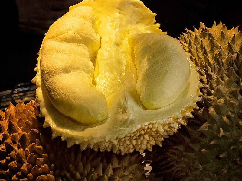 Lempuk Durian Bengkalis